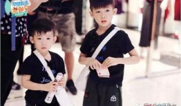 洪天明爆料自己的视频,独家幕后故事大公开